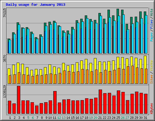 Daily usage for January 2013