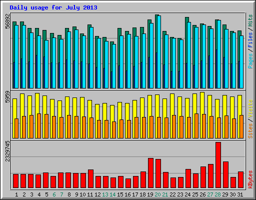 Daily usage for July 2013