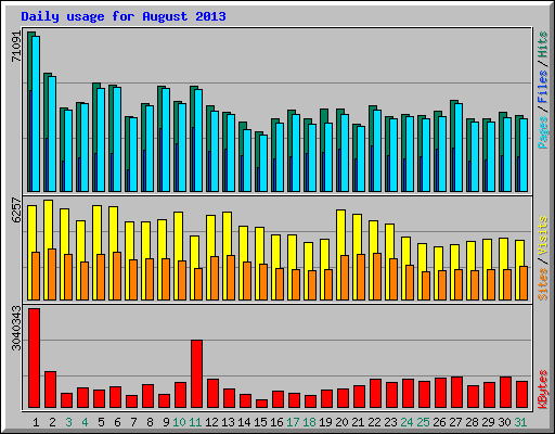 Daily usage for August 2013