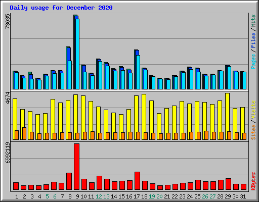Daily usage for December 2020