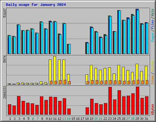 Daily usage for January 2024