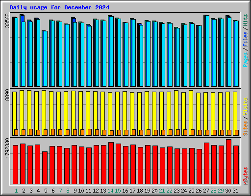 Daily usage for December 2024