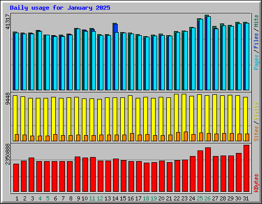 Daily usage for January 2025