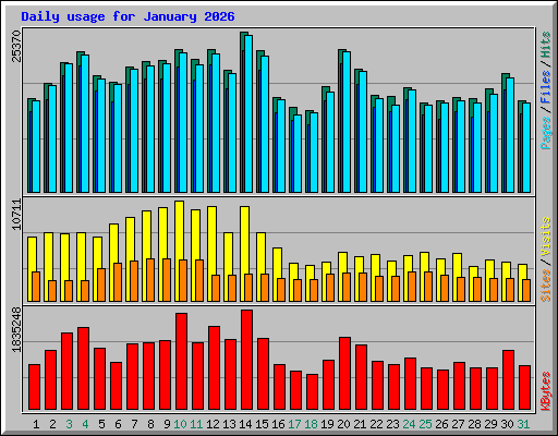 Daily usage for January 2026