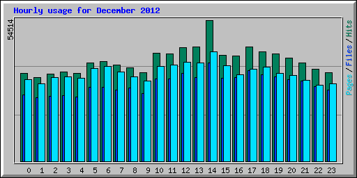 Hourly usage for December 2012