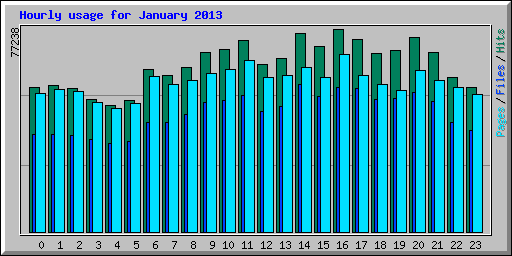 Hourly usage for January 2013