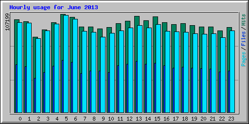 Hourly usage for June 2013