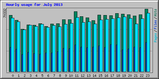 Hourly usage for July 2013