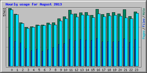 Hourly usage for August 2013