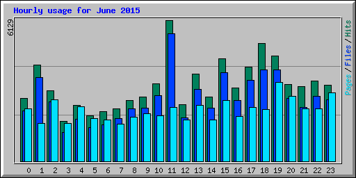 Hourly usage for June 2015