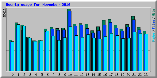 Hourly usage for November 2016