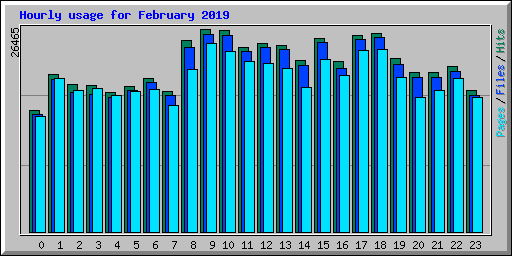 Hourly usage for February 2019