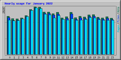 Hourly usage for January 2022