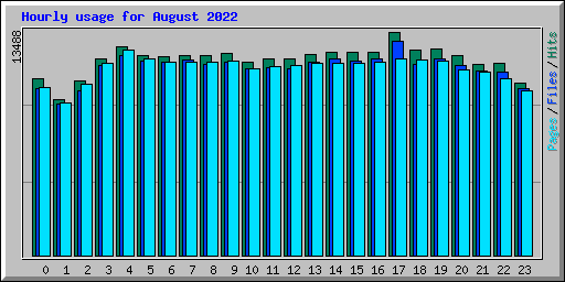 Hourly usage for August 2022