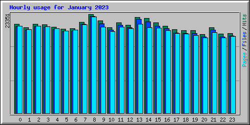Hourly usage for January 2023