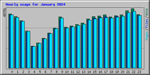 Hourly usage for January 2024