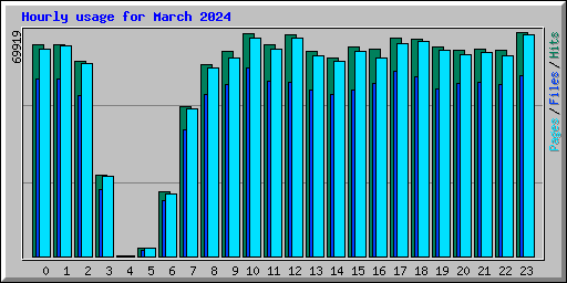 Hourly usage for March 2024