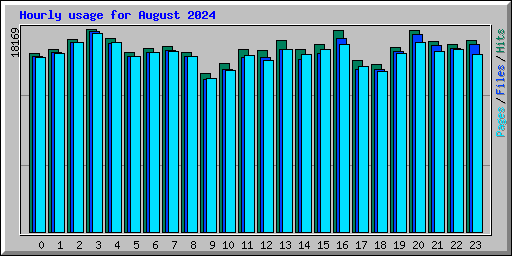 Hourly usage for August 2024