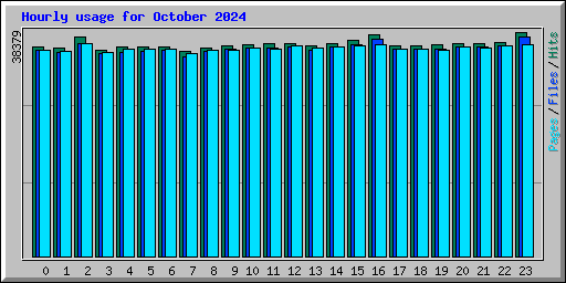 Hourly usage for October 2024