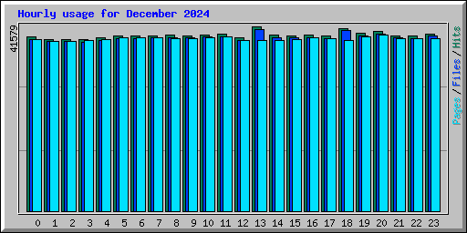 Hourly usage for December 2024
