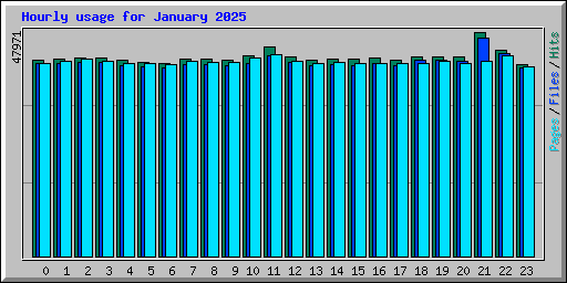 Hourly usage for January 2025