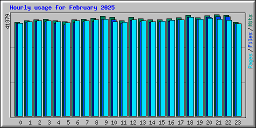 Hourly usage for February 2025