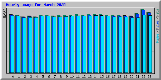 Hourly usage for March 2025