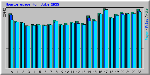 Hourly usage for July 2025