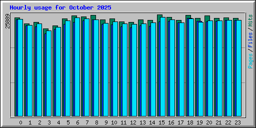 Hourly usage for October 2025