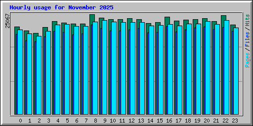 Hourly usage for November 2025