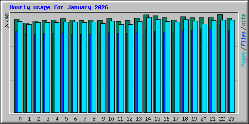 Hourly usage for January 2026